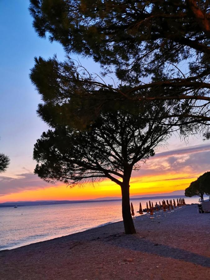 Ivana Apartman 3 Crikvenica Eksteriør bilde